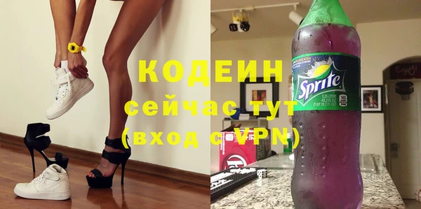 молекула духа Новозыбков
