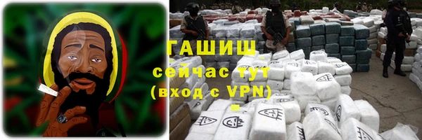молекула духа Новозыбков