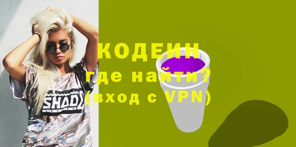 молекула духа Новозыбков