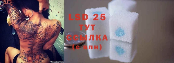 молекула духа Новозыбков