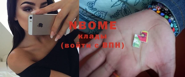 молекула духа Новозыбков