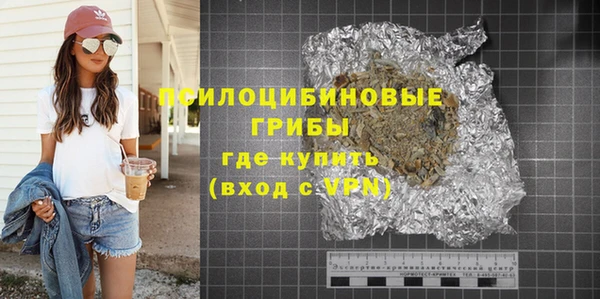 молекула духа Новозыбков