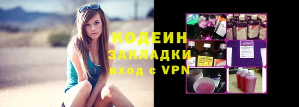 молекула духа Новозыбков