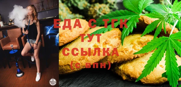 молекула духа Новозыбков