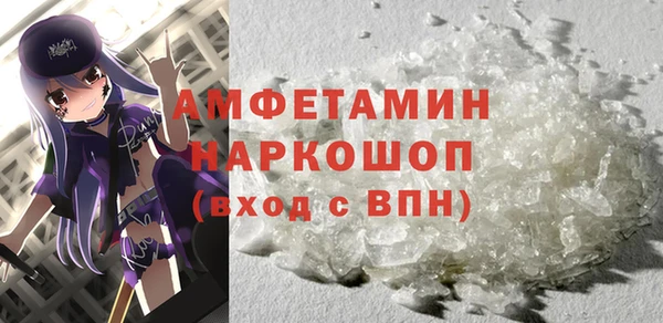 молекула духа Новозыбков