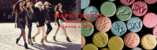 молекула духа Новозыбков