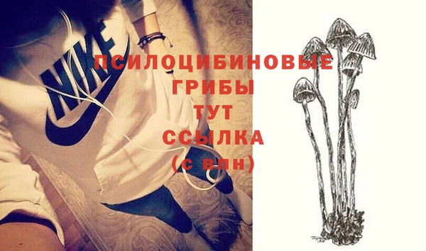 молекула духа Новозыбков