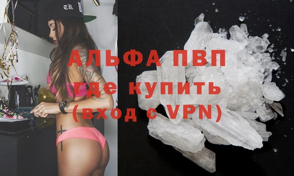 молекула духа Новозыбков