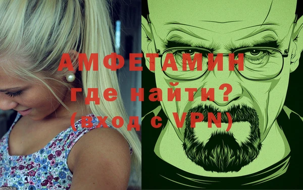 молекула духа Новозыбков