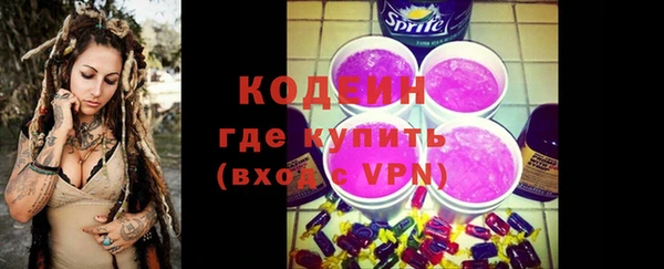 молекула духа Новозыбков