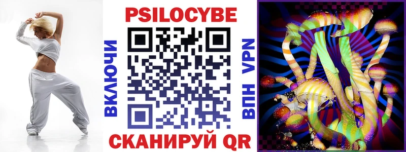 Купить  Новый Оскол  Галлюциногенные грибы Psilocybine cubensis 